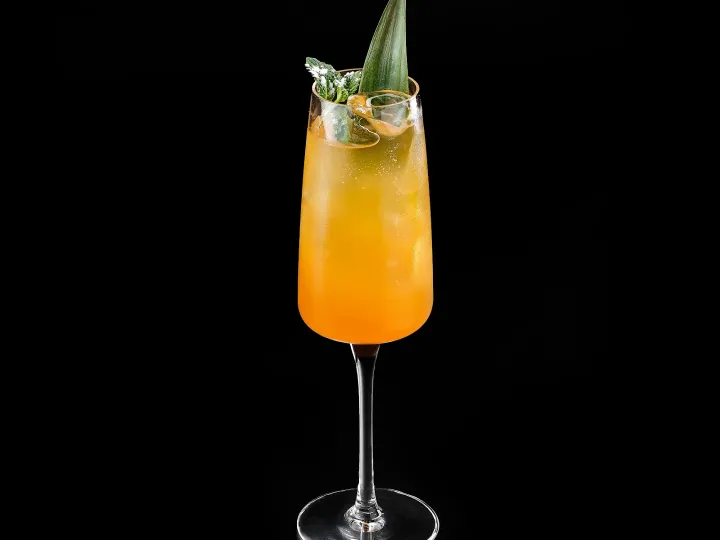 Bellini