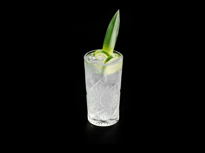 Aloe lemonade