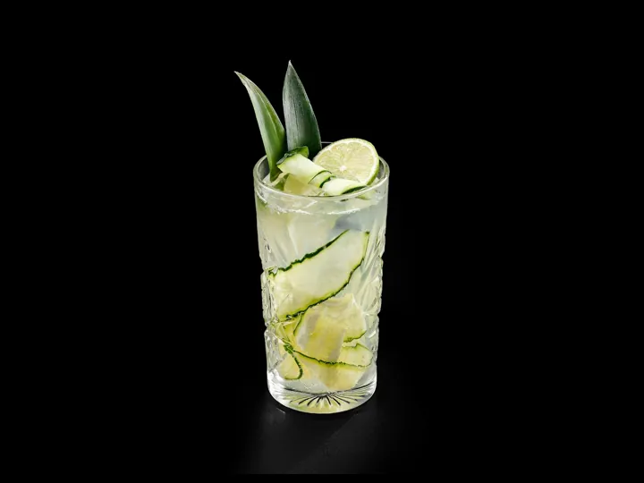 Aloe Cucumber